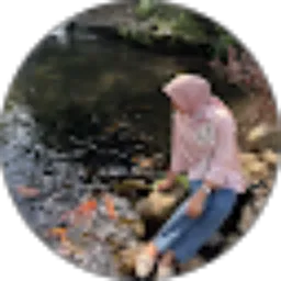 Review From Ali Akbar