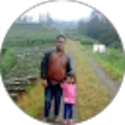 Review From Widodo