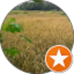 Review From Jams Jamskulon