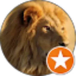Review From Leo july
