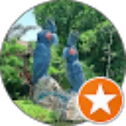 Review From Abd Alvbru