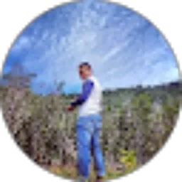Review From Roland Kapantow