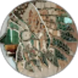 Review From ell