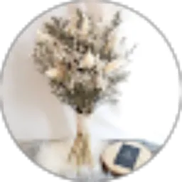 Review From Mariyana