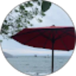 Review From Jimmy Saragih