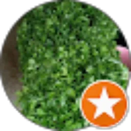 Review From Dw Wijaya Vegetable