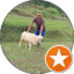 Review From Suganda Suganda