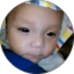 Review From putra arief