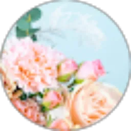 Review From Thalia Intan