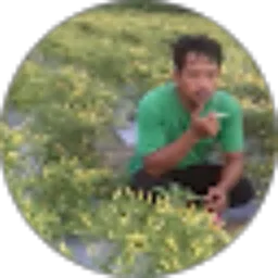 Review From raja gello