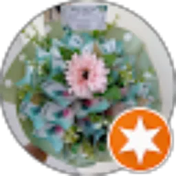 Review From Fachricakes