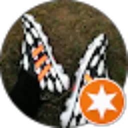 Review From Tri Fedianto