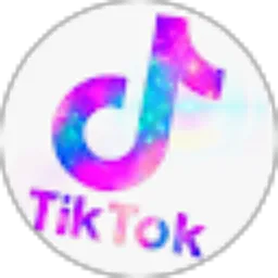 Review From TIKTOKER'S Channel