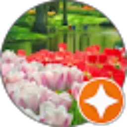 Review From tony sugihanto
