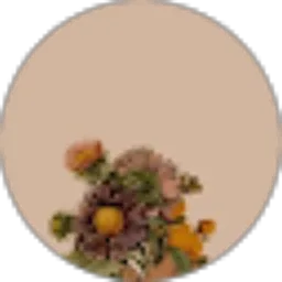 Review From Daisy 05