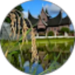 Review From adriszal ch