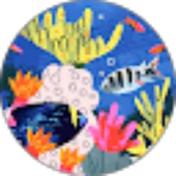 Review From Nuno Luis