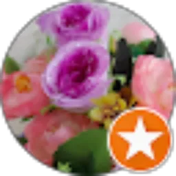 Review From Dalia Basyyoni