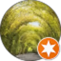 Review From NN NN