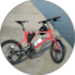 Review From danies roult
