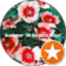 Review From Amirus S. M.