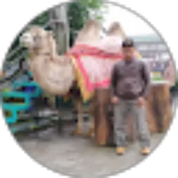 Review From suyadi ramlan