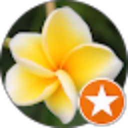 Review From Nia Ariana