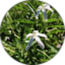 Review From byaleasavero