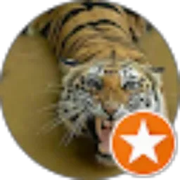 Review From Jon Heri