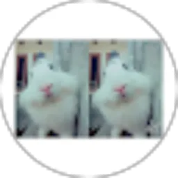 Review From Cindy Angelica