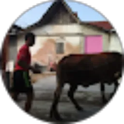 Review From Joko Sutopo