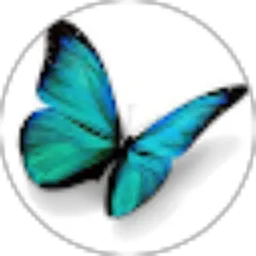 Review From Mrblue