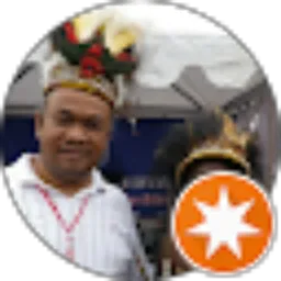 Review From Denny Ivada