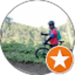 Review From Icho Widy