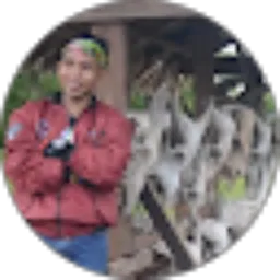 Review From Andi Kurniawan