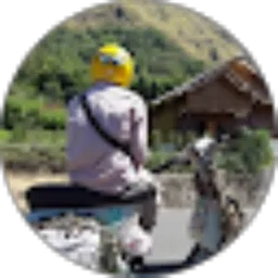 Review From Ali vespa kusam
