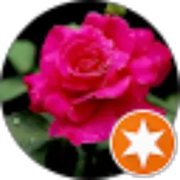 Review From Marhamah Mtp