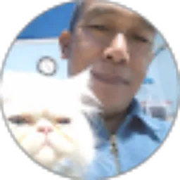 Review From Suyanto Anto