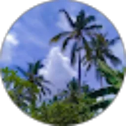 Review From Putu Meli Jayanti
