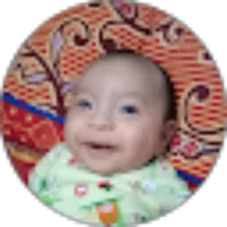 Review From ihsan mahmuddin