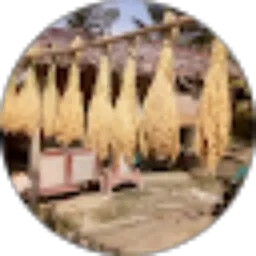 Review From Agrotani Sergai