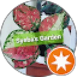 Review From Syeba's Garden