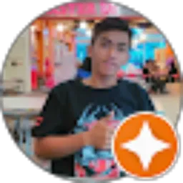 Review From christiandhieka driverlosss