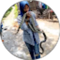 Review From Sella Putri