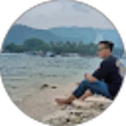 Review From AGOENX- VJ