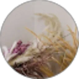 Review From fullchan