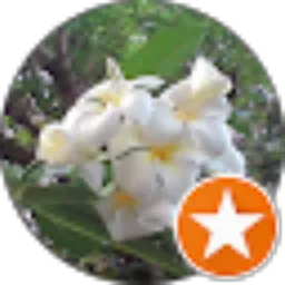 Review From furqon printer