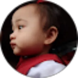 Review From Fauji wulandari Koto