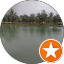 Review From H. Sjawal