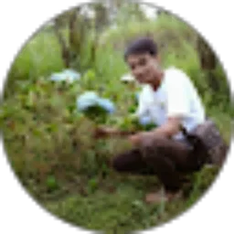 Review From Agus Putra